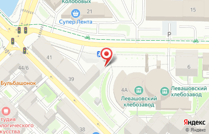 Продукты на Левашовском проспекте на карте