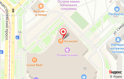 Студия маникюра Лены Лениной в Центральном районе на карте