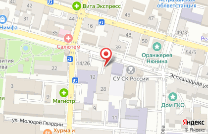 Всероссийская творческая общественная организация Союз художников России на Эспланадной улице на карте