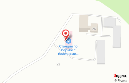 Республиканский центр ветеринарии и консультирования в Петрозаводске на карте