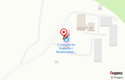 Республиканский центр ветеринарии и консультирования в Петрозаводске на карте