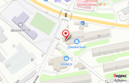 Магазин Зоомир в Петропавловске-Камчатском на карте
