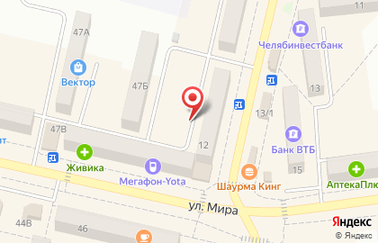 Магазин мясной продукции Ариант на улице Советской Армии на карте