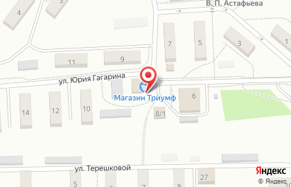 Магазин продуктов Триумф на карте