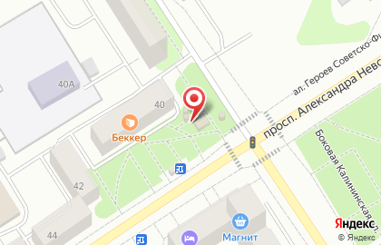 Киоск по продаже цветов в Петрозаводске на карте