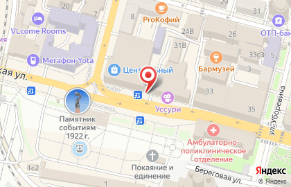 Магазин бытовой техники Bork на Светланской улице на карте
