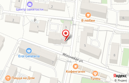 Магазин разливного пива Пинта в Светлогорске на карте