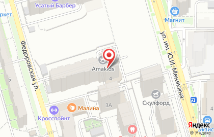 Академия развития интеллекта АМАКидс на Федоровской улице на карте