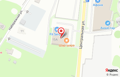 Автосервис FIT SERVICE на Центральной улице на карте