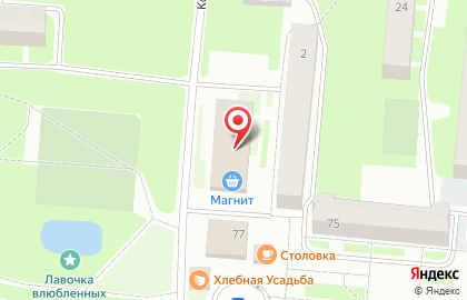 Магазин косметики и бытовой химии Магнит Косметик в Санкт-Петербурге на карте