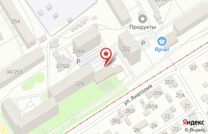 Продуктовый супермаркет Дельфин на улице Анатолия, 224 на карте