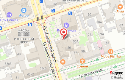 Пансионат Почта России на Будённовском проспекте на карте