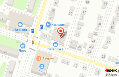 Супермаркет Пятёрочка на улице Леваневского на карте