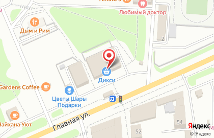 Супермаркет ДИКСИ в Новом Девяткино на карте