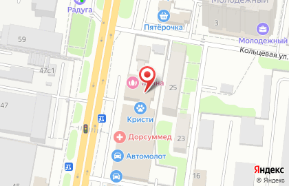 Автосервис Вилгуд на улице Юных Ленинцев в Подольске на карте