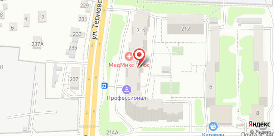 Многопрофильный медицинский центр МедМикс Плюс на улице Терновского на карте