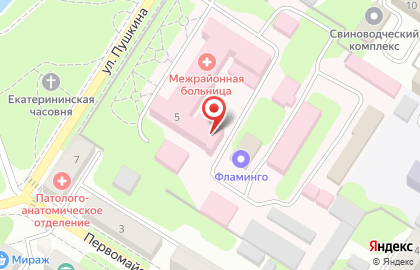 Великолукская межрайонная больница на улице Пушкина на карте