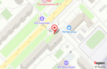Тополь на улице Тополей на карте