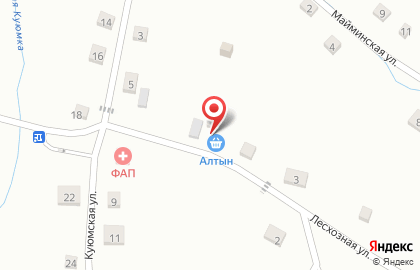 Алтын на Лесхозной улице на карте