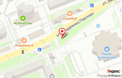 Рекламные щиты (6*3), Кировский район, Ориентир-М на улице Академика Павлова на карте