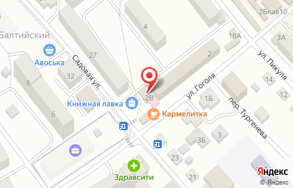 Магазин оптики на ул. Гоголя, 2 к1 на карте