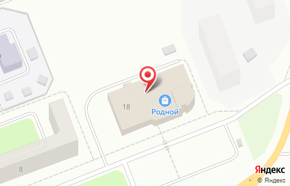 Сервисный центр Pedant в Челябинске на карте
