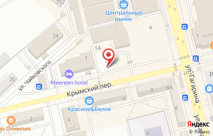 Магазин зоотоваров на улице Гагарина на карте