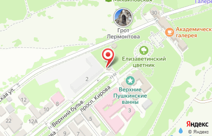 Магазин подарков и сувениров Золотая антилопа на проспекте Кирова на карте