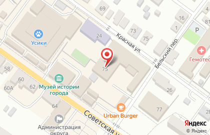 Зоомагазин ЛапУшки на Советской улице на карте
