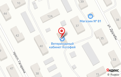 Онежское городское отделение Всероссийское добровольное пожарное общество на карте