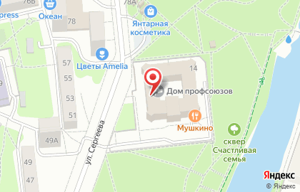 Народный фронт, Общероссийское общественное движение За Россию на карте