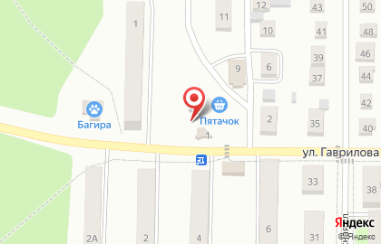 Магазин Рыба на улице Гаврилова на карте