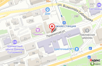 Пушкинский театр, ДВФУ на карте