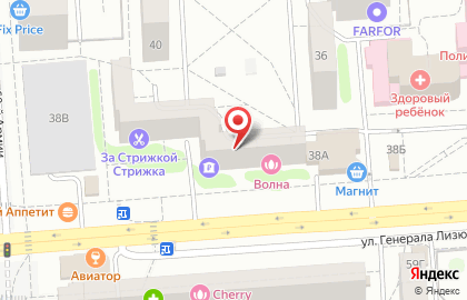 ОАО Альянс на улице Генерала Лизюкова на карте