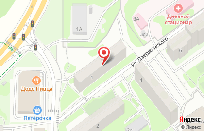 Питомник американских той-фокстерьеров Nicelittlefox на карте