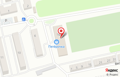 Супермаркет Пятёрочка на Центральной улице на карте