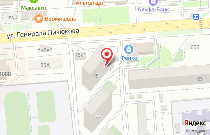 Магазин разливных напитков BeerSkervill на улице Генерала Лизюкова на карте