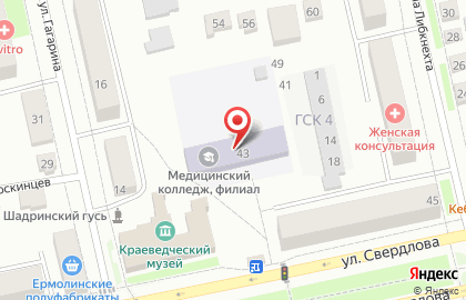 Шадринский филиал Курганский базовый медицинский колледж на карте