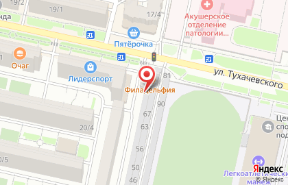 Мясная точка на улице Салова на карте