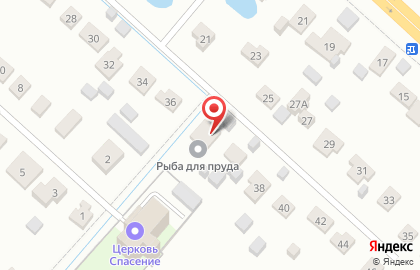 Магазин Alex Fish Express на карте