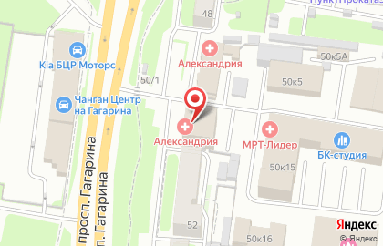 Торгово-сервисный центр АСТ на проспекте Гагарина на карте