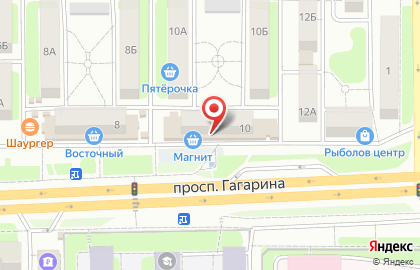 Общественная организация Юность России на проспекте Гагарина на карте