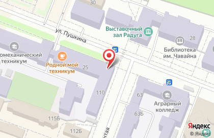 Центр оперативной полиграфии Print на улице Пушкина на карте