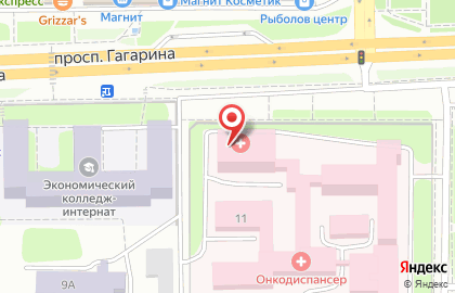 Аптека Областной аптечный склад на проспекте Гагарина на карте