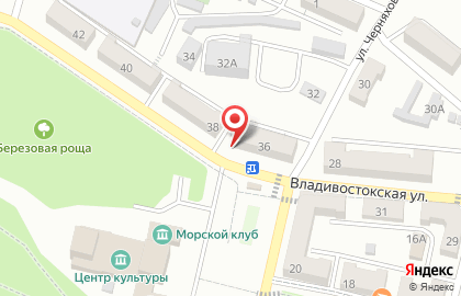 Зоомагазин Друг на Владивостокской улице на карте