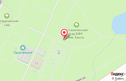 Кафе быстрого питания в Ленинградском районе на карте