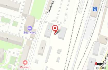 Центральный Военный Клинический Туберкулезный Госпиталь # 4 на карте