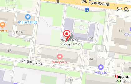 Интернет-магазин светильников BasicDecor на улице Бакунина на карте