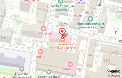 Камелия принт на карте