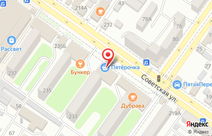 Зоомагазин Айболит на Советской улице на карте